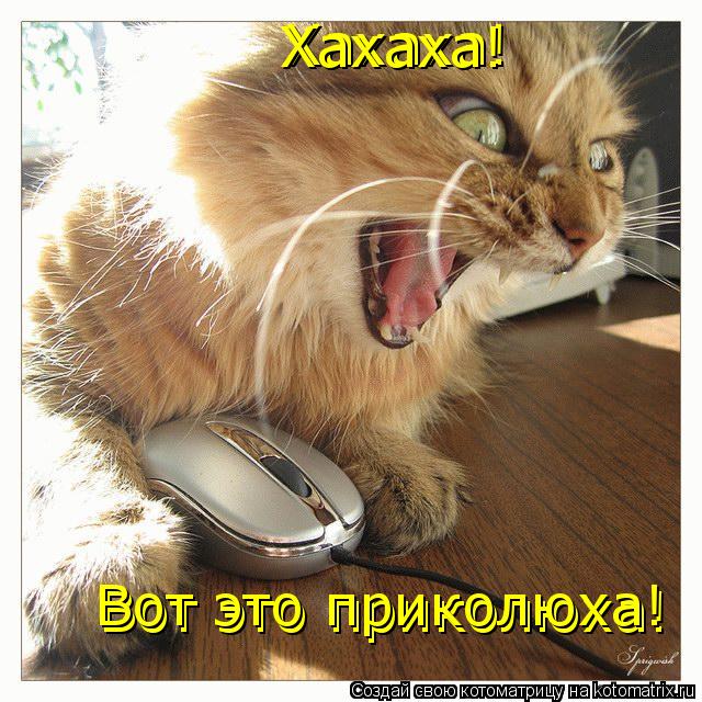 Хахаха! Вот это приколюха! Вот это приколюха! Хахаха!... Котоматрица: Хахаха! Вот это приколюха! Вот это приколюха! Хахаха!