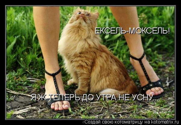 Котоматрица: ЕКСЕЛЬ-МОКСЕЛЬ! Я Ж ТЕПЕРЬ ДО УТРА НЕ УСНУ...