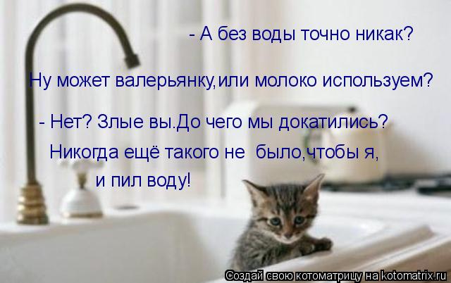 - А без воды точно никак? Ну может валерьянку,или молоко используем? - Нет? Злые вы.До чего мы докати... Котоматрица: - А без воды точно никак? Ну может валерьянку,или молоко используем? - Нет? Злые вы.До чего мы докатились? Никогда ещё такого не было,чтобы я, и