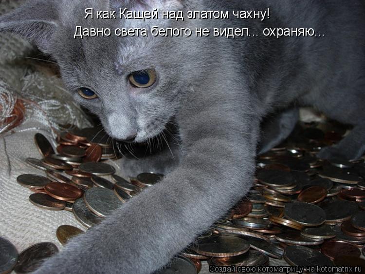Котоматрица: Я как Кащей над златом чахну! Давно света белого не видел... охраняю...