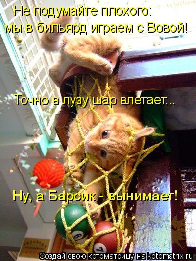 Не подумайте плохого: мы в бильярд играем с Вовой! Точно в лузу шар влетает... Ну, а Барсик - вынимае... Котоматрица: Не подумайте плохого: мы в бильярд играем с Вовой! Точно в лузу шар влетает... Ну, а Барсик - вынимает!