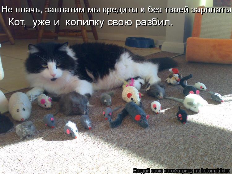 Не плачь, заплатим мы кредиты и без твоей зарплаты. Кот, уже и копилку свою разбил.... Котоматрица: Не плачь, заплатим мы кредиты и без твоей зарплаты. Кот, уже и копилку свою разбил.