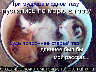 Три мудреца в одном тазу пустились по морю в грозу Будь попрочнее старый таз длиннее был бы мой расс... Котоматрица: Три мудреца в одном тазу пустились по морю в грозу Будь попрочнее старый таз длиннее был бы мой рассказ...