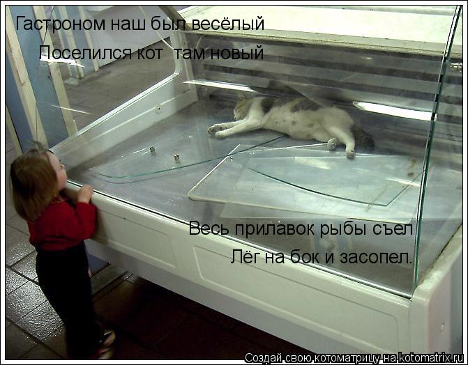 Гастроном наш был весёлый Поселился кот там новый Весь прилавок рыбы съел Лёг на бок и засопел.... Котоматрица: Гастроном наш был весёлый Поселился кот там новый Весь прилавок рыбы съел Лёг на бок и засопел.