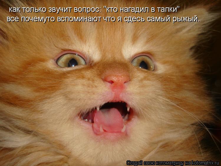 Привет оля открытки