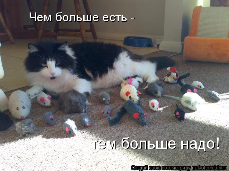 Чем больше есть - тем больше надо!... Котоматрица: Чем больше есть - тем больше надо!
