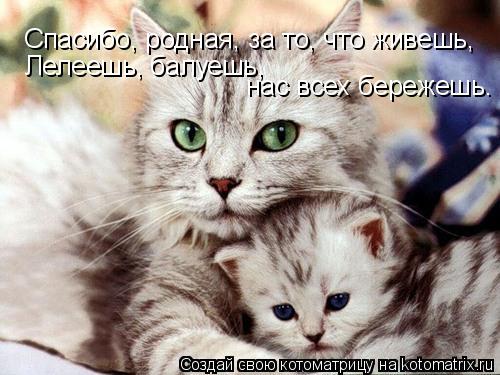Чертежи летающего самолета из дерева Чертежи летающего самолета из дерева