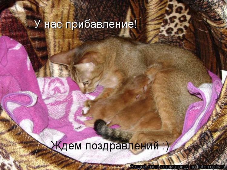 Жду поздравлений