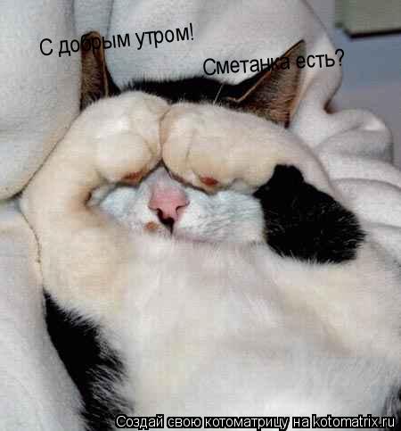 Котоматрица: С добрым утром! Сметанка есть?