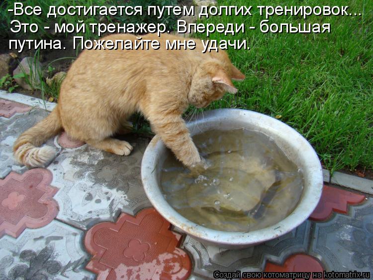 -Все достигается путем долгих тренировок... Это - мой тренажер. Впереди - большая путина. Пожелайте ... Котоматрица: -Все достигается путем долгих тренировок... Это - мой тренажер. Впереди - большая путина. Пожелайте мне удачи.