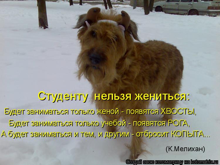 А будет заниматься и тем, и другим - отбросит КОПЫТА... (К.Мелихан) Студенту нельзя жениться: Будет ... Котоматрица: А будет заниматься и тем, и другим - отбросит КОПЫТА... (К.Мелихан) Студенту нельзя жениться: Будет заниматься только женой - появятся ХВОСТЫ,