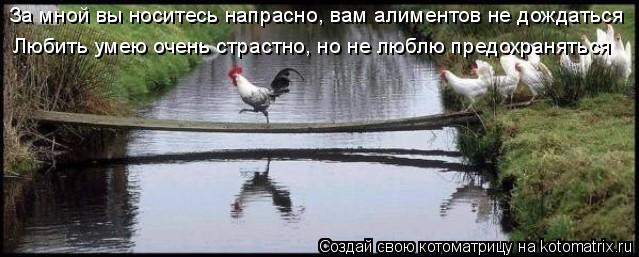 http://kotomatrix.ru/images/lolz/2009/02/20/bW.jpg