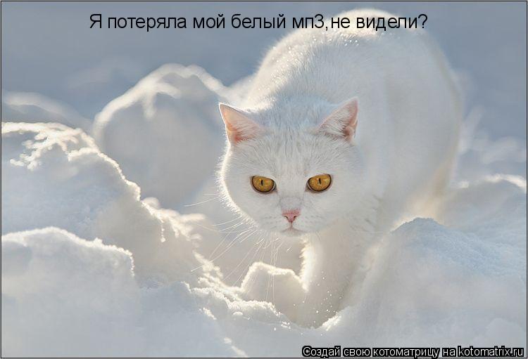 Котоматрица: Я потеряла мой белый мп3,не видели?