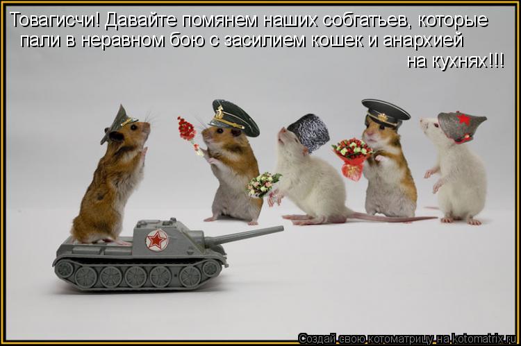 Товагисчи! Давайте помянем наших собгатьев, которые пали в неравном бою с засилием кошек и анархией н... Котоматрица: Товагисчи! Давайте помянем наших собгатьев, которые пали в неравном бою с засилием кошек и анархией на кухнях!!!