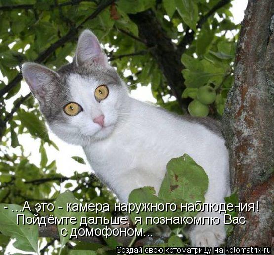 - ...А это - камера наружного наблюдения! Пойдёмте дальше, я познакомлю Вас с домофоном...... Котоматрица: - ...А это - камера наружного наблюдения! Пойдёмте дальше, я познакомлю Вас с домофоном...