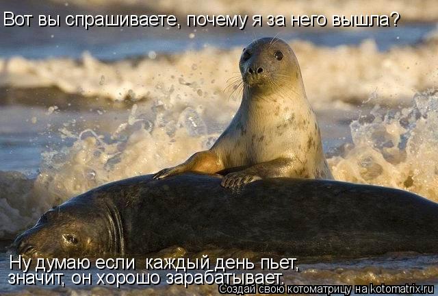 Вот вы спрашиваете, почему я за него вышла? Ну думаю если каждый день пьет, значит, он хорошо зараб... Котоматрица: Вот вы спрашиваете, почему я за него вышла? Ну думаю если каждый день пьет, значит, он хорошо зарабатывает.