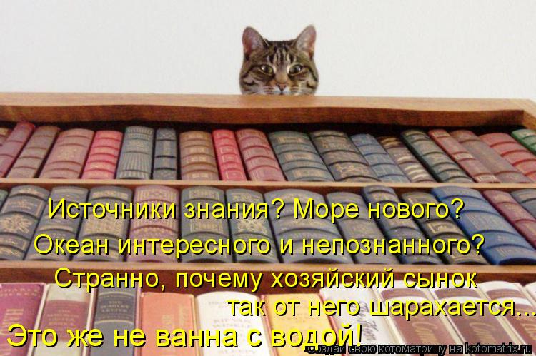 Котоматрица: Источники знания? Море нового?  Океан интересного и непознанного?  Странно, почему хозяйский сынок  так от него шарахается...  Это же не ванна 