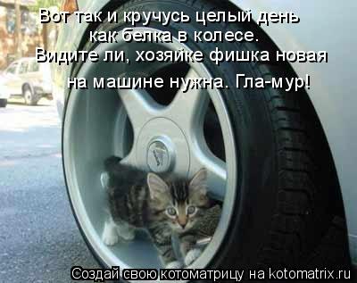 Вот так и кручусь целый день как белка в колесе. Видите ли, хозяйке фишка новая на машине нужна. Гла-... Котоматрица: Вот так и кручусь целый день как белка в колесе. Видите ли, хозяйке фишка новая на машине нужна. Гла-мур!