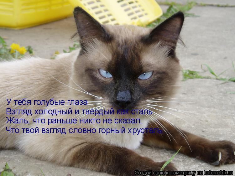 Открытка я не злюсь Открытка я не злюсь