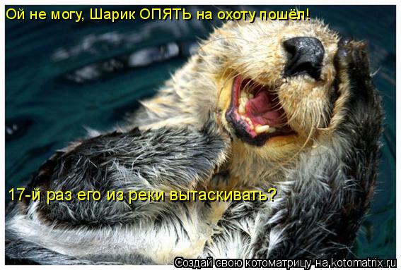 Ой не могу, Шарик ОПЯТЬ на охоту пошёл! 17-й раз его из реки вытаскивать?... Котоматрица: Ой не могу, Шарик ОПЯТЬ на охоту пошёл! 17-й раз его из реки вытаскивать?
