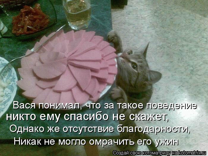никто ему спасибо не скажет, Однако же отсутствие благодарности, Никак не могло омрачить его ужин Ва... Котоматрица: никто ему спасибо не скажет, Однако же отсутствие благодарности, Никак не могло омрачить его ужин Вася понимал, что за такое поведение