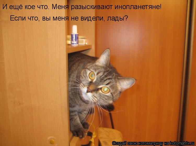 Котоматрица: И ещё кое что. Меня разыскивают инопланетяне! Если что, вы меня не видели, лады?