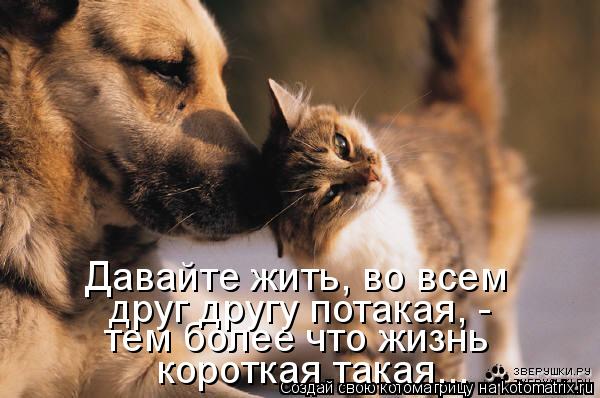 http://kotomatrix.ru/images/lolz/2009/02/21/j4.jpg