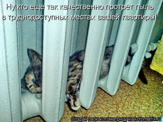 http://kotomatrix.ru/images/lolz/2009/02/21/nQ.jpg