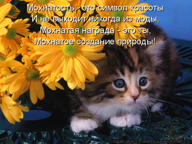 http://kotomatrix.ru/images/lolz/2009/02/21/pT.jpg