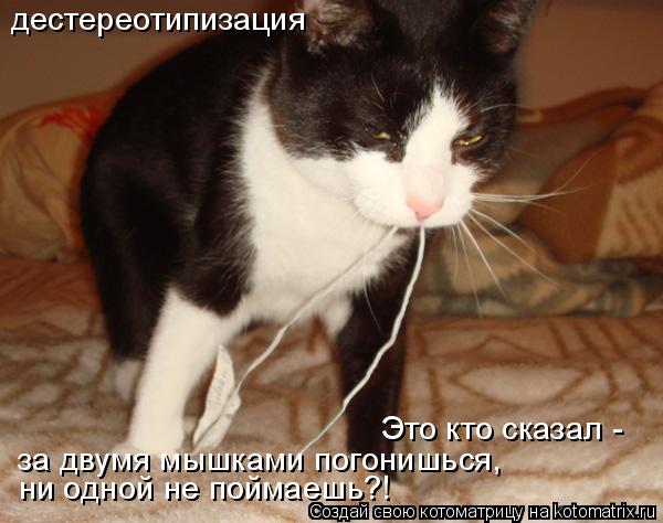 Это кто сказал - за двумя мышками погонишься, ни одной не поймаешь?! дестереотипизация... Котоматрица: Это кто сказал - за двумя мышками погонишься, ни одной не поймаешь?! дестереотипизация