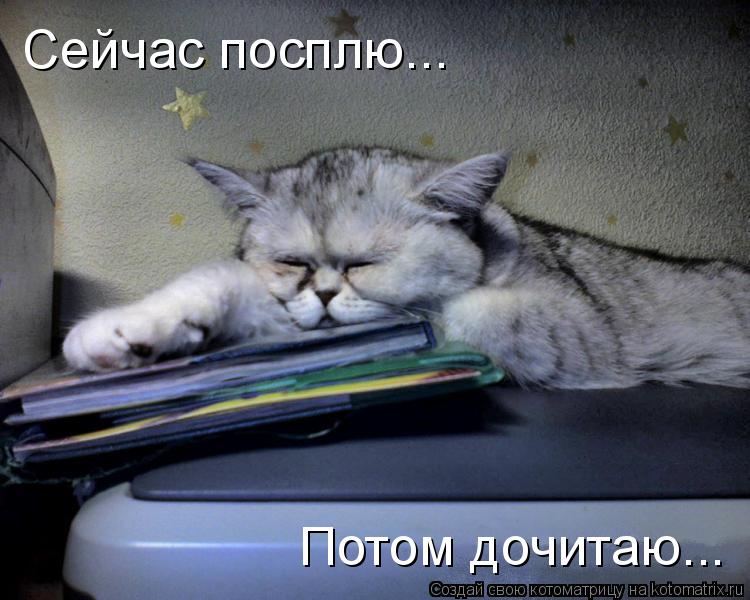 Как хорошо спать днем Как хорошо спать днем