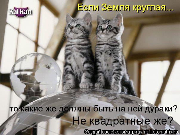 http://kotomatrix.ru/images/lolz/2009/02/22/6k.jpg