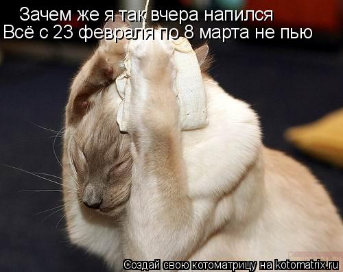 Котоматрица: Зачем же я так вчера напился  Всё с 23 февраля по 8 марта не пью