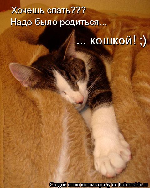 Не спит ночью а спит днем рождения Не спит ночью а спит днем рождения
