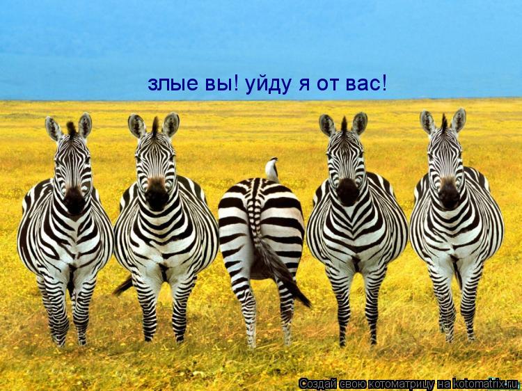 злые вы! уйду я от вас!... Котоматрица: злые вы! уйду я от вас!