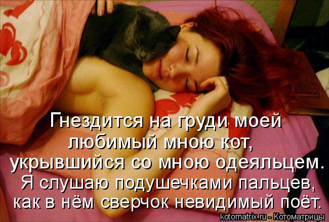 Гнездится на груди моей как в нём сверчок невидимый поёт. любимый мною кот, Я слушаю подушечками паль... Котоматрица: Гнездится на груди моей как в нём сверчок невидимый поёт. любимый мною кот, Я слушаю подушечками пальцев, укрывшийся со мною одеяльцем.