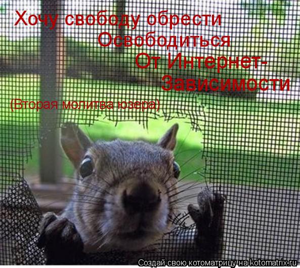 Хочу свободу обрести Освободиться От Интернет- Зависимости (Вторая молитва юзера)... Котоматрица: Хочу свободу обрести Освободиться От Интернет- Зависимости (Вторая молитва юзера)