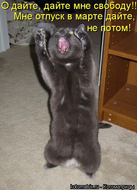 О дайте, дайте мне свободу!!! Мне отпуск в марте дайте, не потом! не потом!... Котоматрица: О дайте, дайте мне свободу!!! Мне отпуск в марте дайте, не потом! не потом!