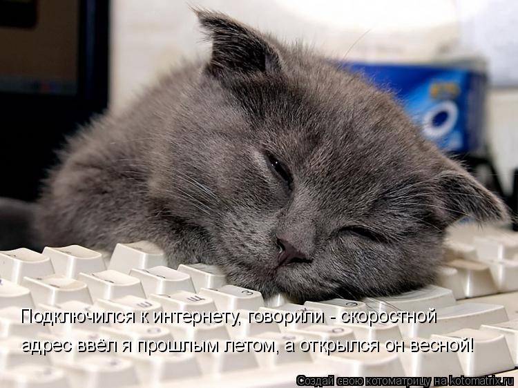 Подключился к интернету, говорили - скоростной адрес ввёл я прошлым летом, а открылся он весной!... Котоматрица: Подключился к интернету, говорили - скоростной адрес ввёл я прошлым летом, а открылся он весной!