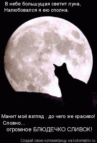 В небе большущая светит луна, Налюбовался я ею сполна. Манит мой взгляд – до чего же красиво! огромно... Котоматрица: В небе большущая светит луна, Налюбовался я ею сполна. Манит мой взгляд – до чего же красиво! огромное БЛЮДЕЧКО СЛИВОК! Словно...