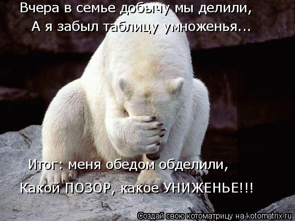 А я забыл таблицу умноженья... Вчера в семье добычу мы делили, Итог: меня обедом обделили, Какой ПОЗО... Котоматрица: А я забыл таблицу умноженья... Вчера в семье добычу мы делили, Итог: меня обедом обделили, Какой ПОЗОР, какое УНИЖЕНЬЕ!!!