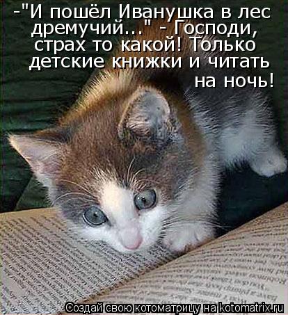 -"И пошёл Иванушка в лес дремучий..." - Господи, страх то какой! Только детские книжки и читать на н... Котоматрица: -"И пошёл Иванушка в лес дремучий..." - Господи, страх то какой! Только детские книжки и читать на ночь!