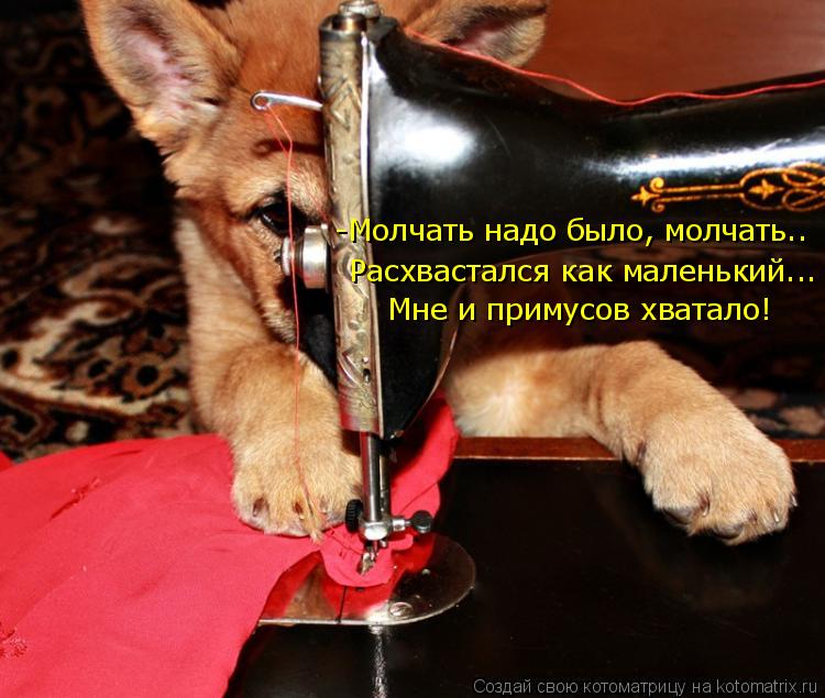 -Молчать надо было, молчать.. Расхвастался как маленький... Мне и примусов хватало!... Котоматрица: -Молчать надо было, молчать.. Расхвастался как маленький... Мне и примусов хватало!