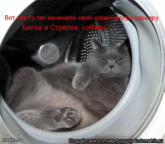 Вот как-то так начинали свою космическую карьеру Белка и Стрелка, собаки...... Котоматрица: Вот как-то так начинали свою космическую карьеру Белка и Стрелка, собаки...