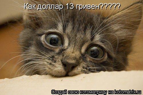 Как доллар 13 гривен?????... Котоматрица: Как доллар 13 гривен?????