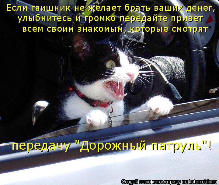 Котоматрица: Если гаишник не желает брать ваших денег,  улыбнитесь и громко передайте привет  всем своим знакомым, которые смотрят  передачу "Дорожный па