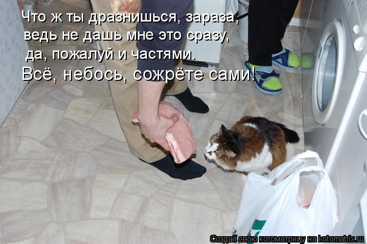Что ж ты дразнишься, зараза, ведь не дашь мне это сразу, да, пожалуй и частями. Всё, небось, сожрёте... Котоматрица: Что ж ты дразнишься, зараза, ведь не дашь мне это сразу, да, пожалуй и частями. Всё, небось, сожрёте сами!