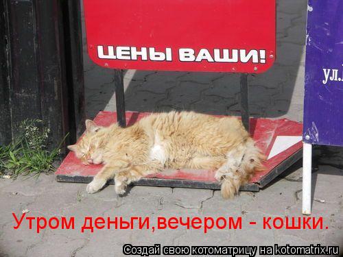 Утром деньги,вечером - кошки.... Котоматрица: Утром деньги,вечером - кошки.