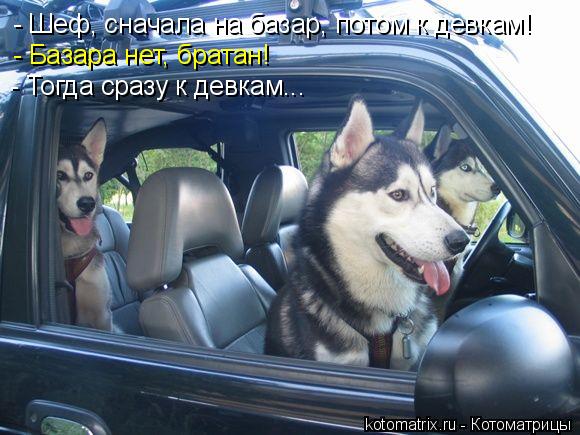 - Шеф, сначала на базар, потом к девкам! - Базара нет, братан! - Тогда сразу к девкам...... Котоматрица: - Шеф, сначала на базар, потом к девкам! - Базара нет, братан! - Тогда сразу к девкам...