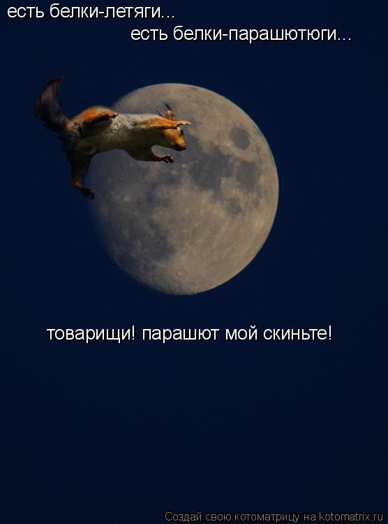 есть белки-летяги... есть белки-парашютюги... товарищи! парашют мой скиньте!... Котоматрица: есть белки-летяги... есть белки-парашютюги... товарищи! парашют мой скиньте!
